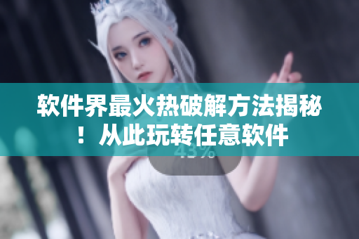 软件界最火热破解方法揭秘！从此玩转任意软件