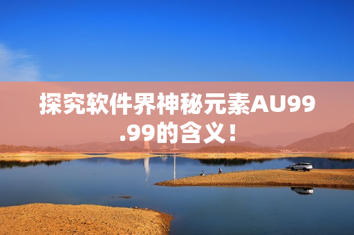探究软件界神秘元素AU99.99的含义！