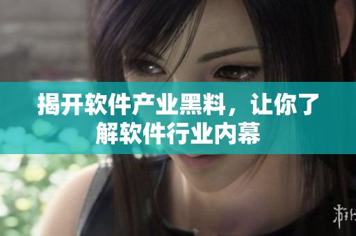 揭开软件产业黑料，让你了解软件行业内幕