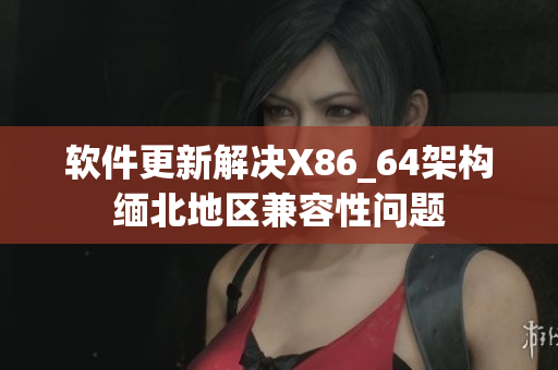 软件更新解决X86_64架构缅北地区兼容性问题