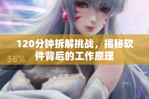 120分钟拆解挑战，揭秘软件背后的工作原理