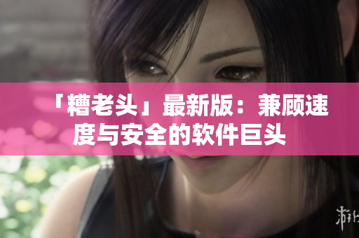 「糟老头」最新版：兼顾速度与安全的软件巨头