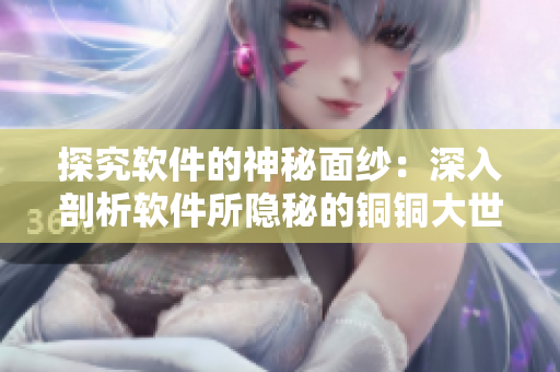 探究软件的神秘面纱：深入剖析软件所隐秘的铜铜大世界