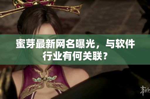 蜜芽最新网名曝光，与软件行业有何关联？