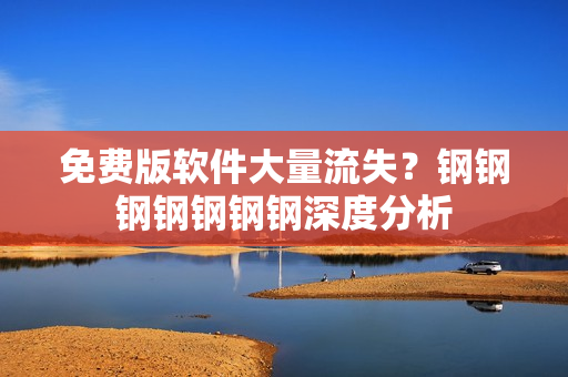 免费版软件大量流失？钢钢钢钢钢钢钢深度分析