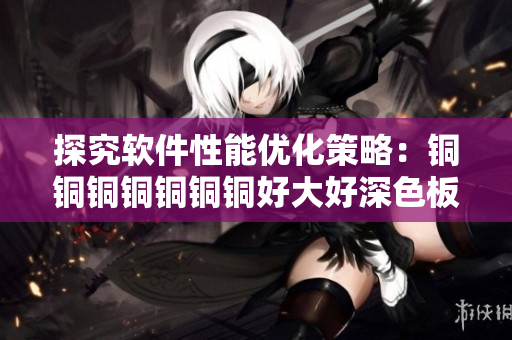 探究软件性能优化策略：铜铜铜铜铜铜铜好大好深色板解析