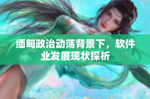 缅甸政治动荡背景下，软件业发展现状探析