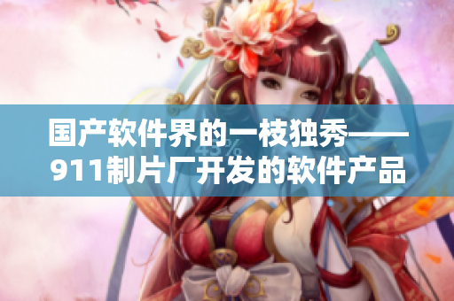 国产软件界的一枝独秀——911制片厂开发的软件产品