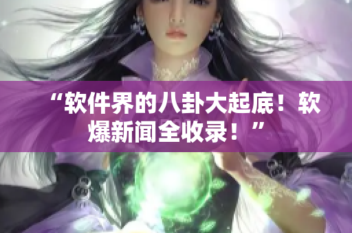 “软件界的八卦大起底！软爆新闻全收录！”