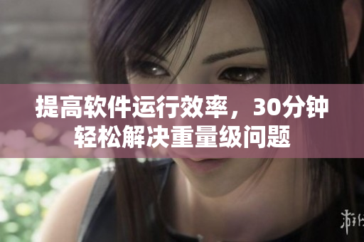 提高软件运行效率，30分钟轻松解决重量级问题