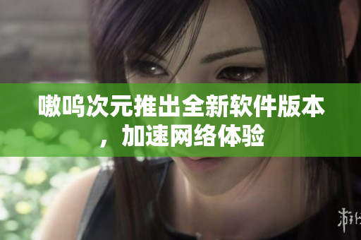 嗷呜次元推出全新软件版本，加速网络体验