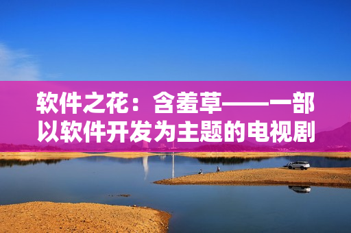 软件之花：含羞草——一部以软件开发为主题的电视剧