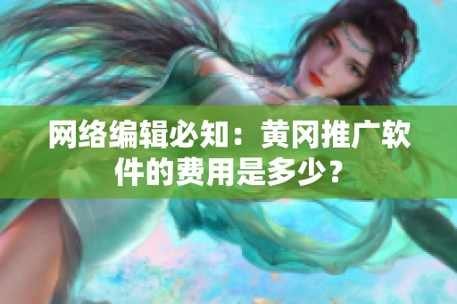 网络编辑必知：黄冈推广软件的费用是多少？
