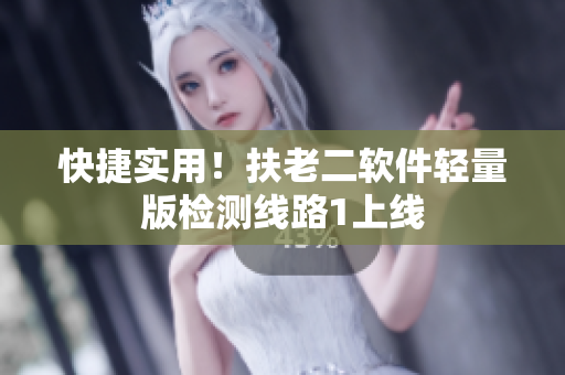 快捷实用！扶老二软件轻量版检测线路1上线