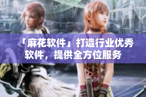 「麻花软件」打造行业优秀软件，提供全方位服务