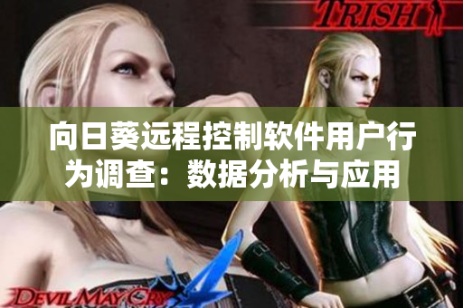 向日葵远程控制软件用户行为调查：数据分析与应用