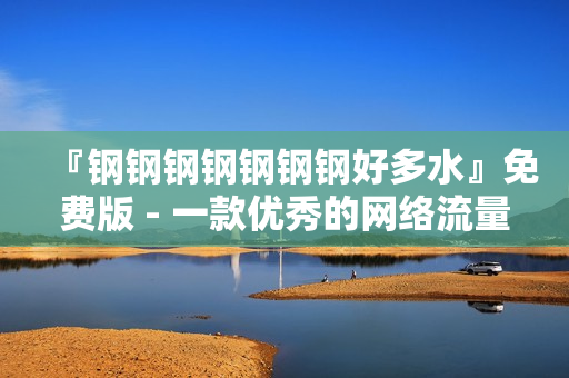 『钢钢钢钢钢钢钢好多水』免费版 - 一款优秀的网络流量监测软件