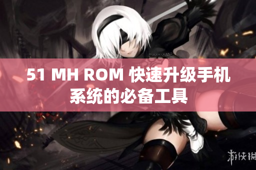 51 MH ROM 快速升级手机系统的必备工具
