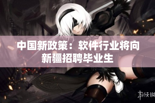 中国新政策：软件行业将向新疆招聘毕业生