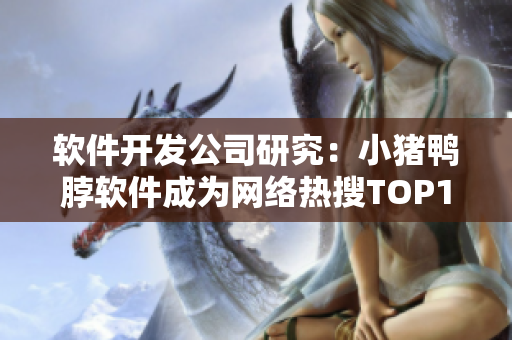 软件开发公司研究：小猪鸭脖软件成为网络热搜TOP1