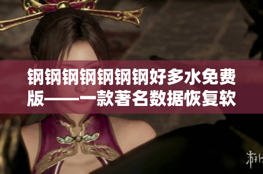钢钢钢钢钢钢钢好多水免费版——一款著名数据恢复软件
