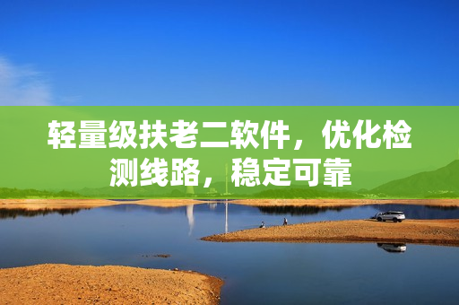 轻量级扶老二软件，优化检测线路，稳定可靠