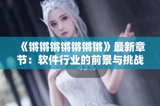 《锵锵锵锵锵锵锵》最新章节：软件行业的前景与挑战