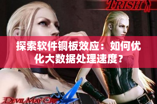 探索软件铜板效应：如何优化大数据处理速度？