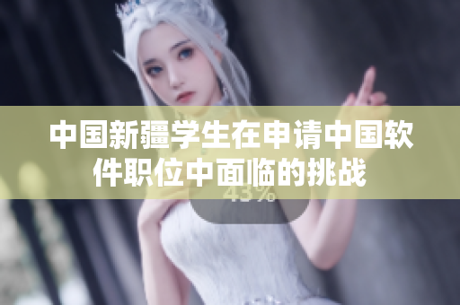 中国新疆学生在申请中国软件职位中面临的挑战