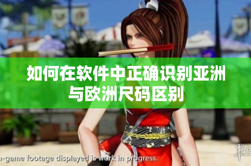 如何在软件中正确识别亚洲与欧洲尺码区别