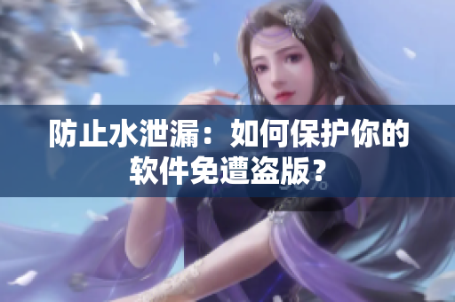 防止水泄漏：如何保护你的软件免遭盗版？