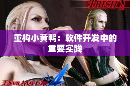 重构小黄鸭：软件开发中的重要实践