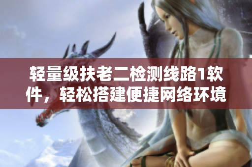 轻量级扶老二检测线路1软件，轻松搭建便捷网络环境