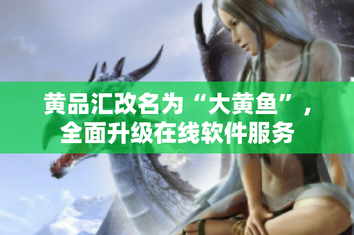 黄品汇改名为“大黄鱼”，全面升级在线软件服务