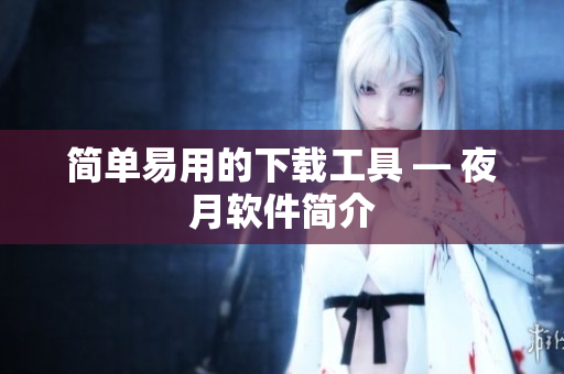 简单易用的下载工具 — 夜月软件简介
