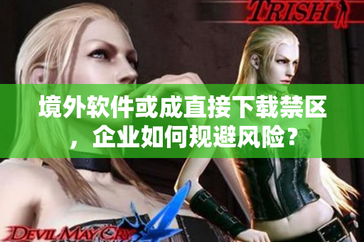 境外软件或成直接下载禁区，企业如何规避风险？